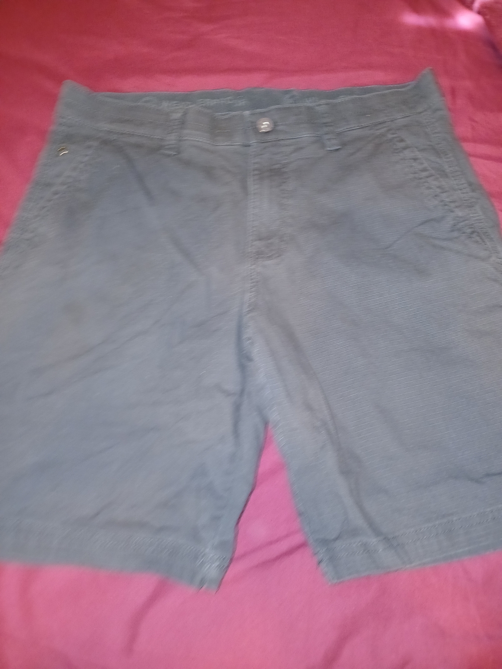 Wrangler Men's Flat Front Gray Shorts